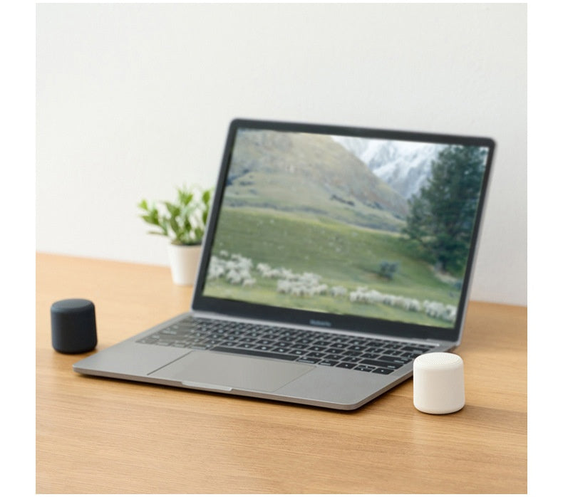 Portable Mini Bluetooth Speaker